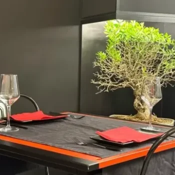 Mesa interior